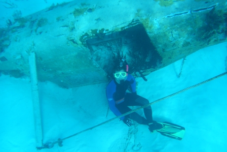 Tempor&auml;rer Riffbewohner